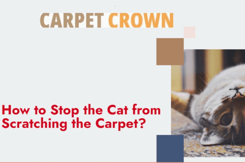 Carpet Crown logo with a playful cat lying on a carpet, accompanied by the text 'How to Stop the Cat from Scratching the Carpet