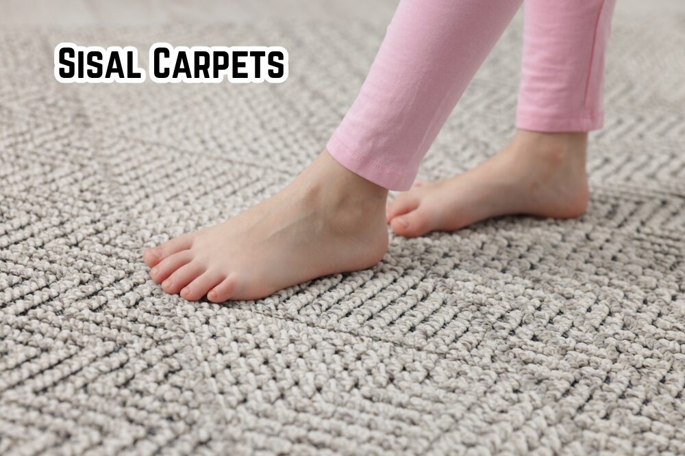 Sisal Carpets